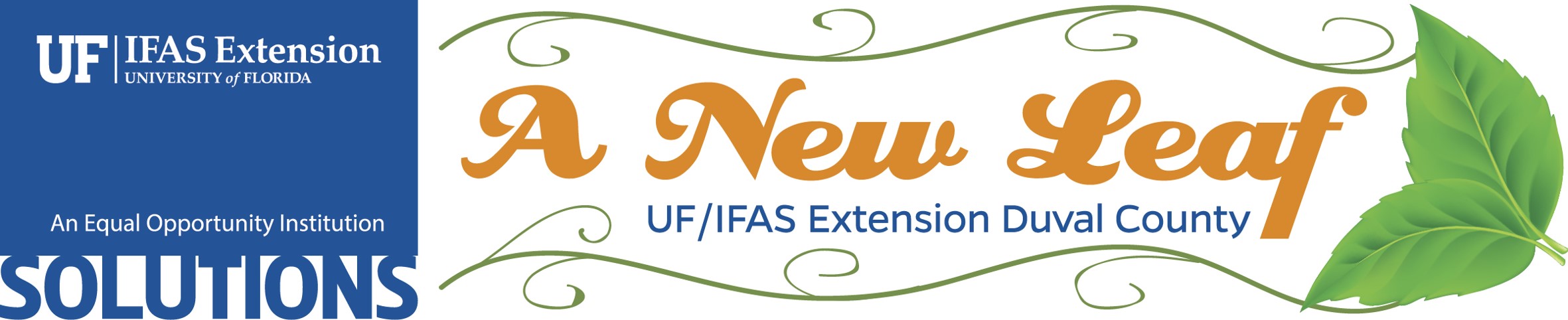 IFAS Logo Banner