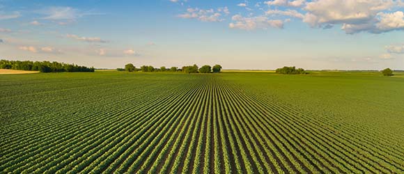 Ag Field Photo